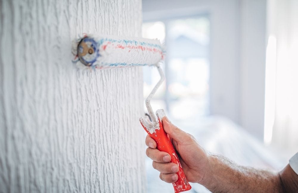 Roller brush paint