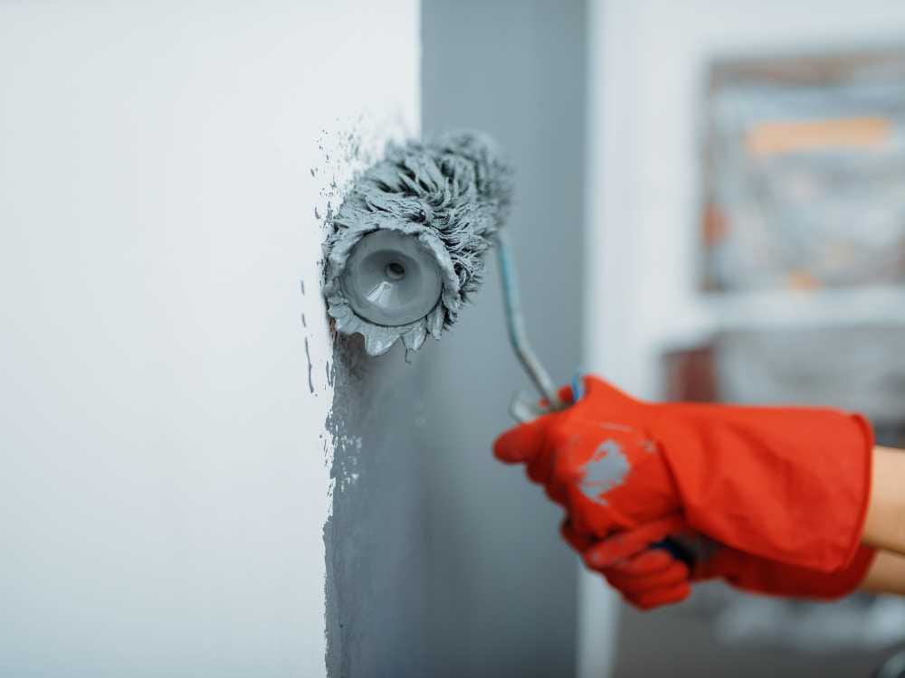painting interior house painter