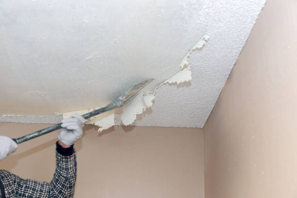 Apartment repair wall plaster pattern for texture popcorn ceiling removet